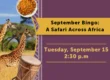 The Courtyard at Sterling Heights | Bingo: A Safari Across Africa